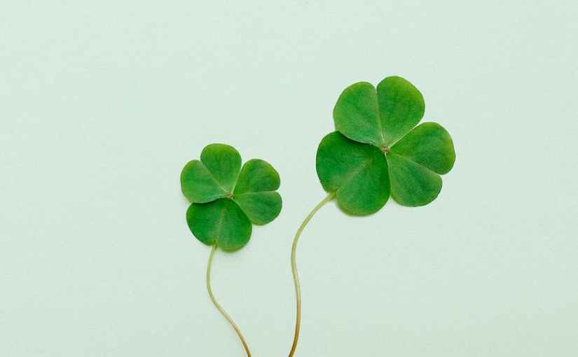 M.s Weisheiten (Teil&nbsp;III)