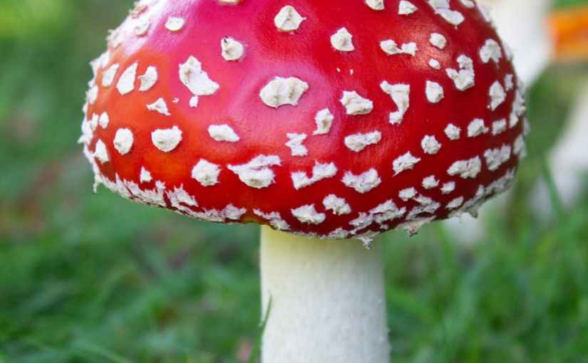 Mama, wann fahren wir ins&nbsp;Wichtelgebäude?